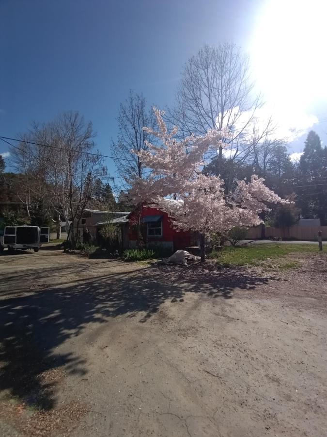 Bigfoot Rv & Cabins Park Happy Camp 外观 照片