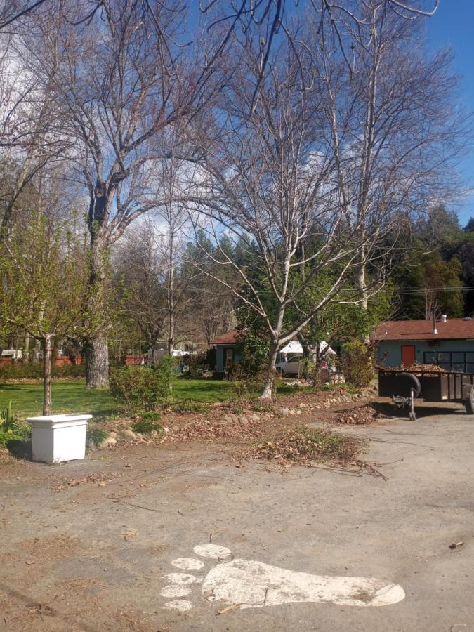 Bigfoot Rv & Cabins Park Happy Camp 外观 照片