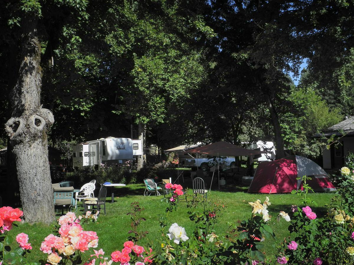 Bigfoot Rv & Cabins Park Happy Camp 外观 照片